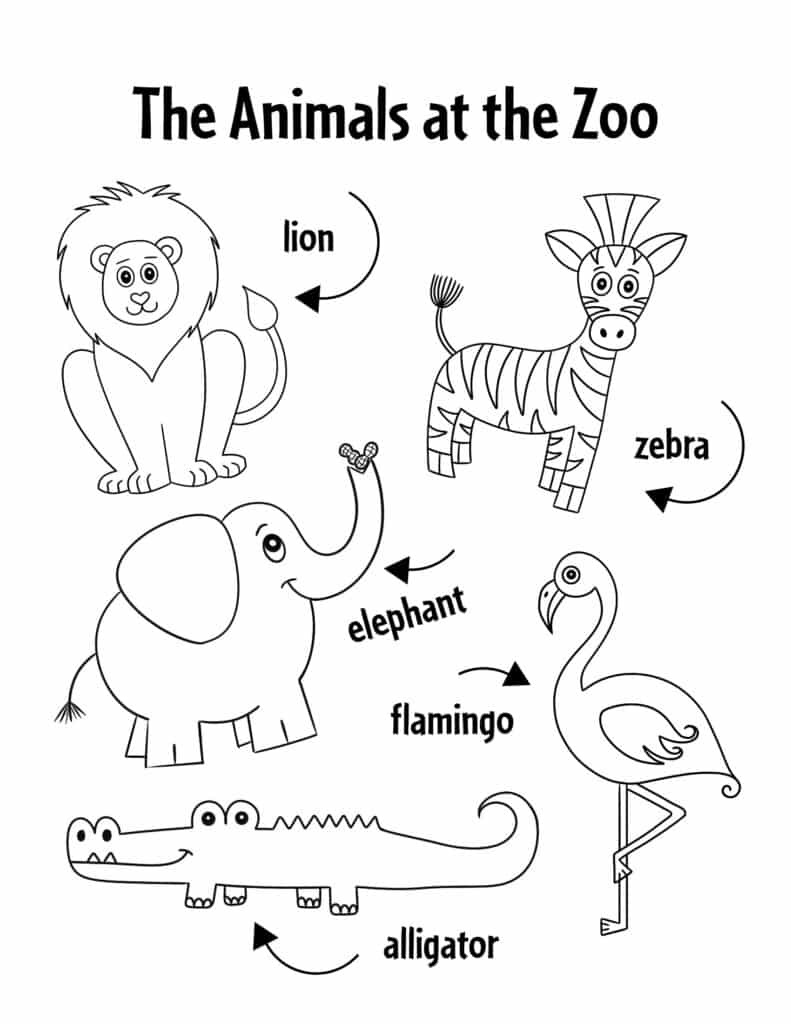 Preschool zoo theme lesson plan with free zoo printables the hollydog blog