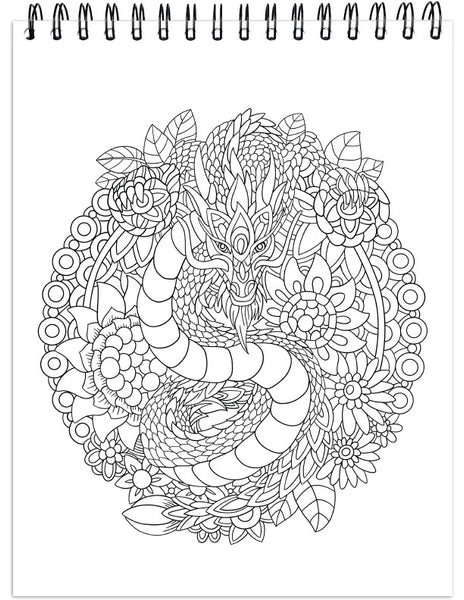 Colorful dragons adult coloring book single
