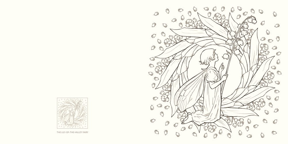 The flower fairies coloring book