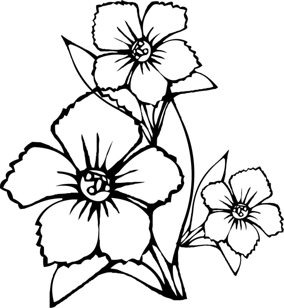 Free printable flower coloring pages for kids