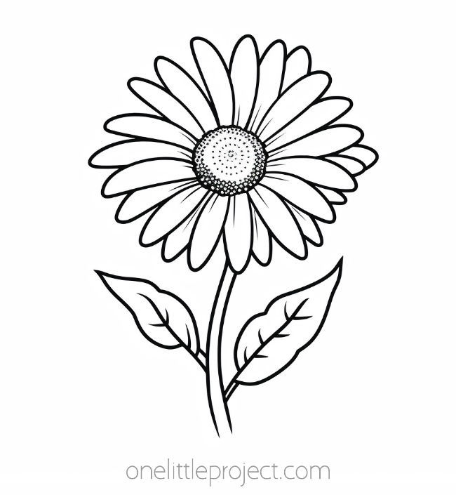 Flower coloring pages free printable flower coloring sheets