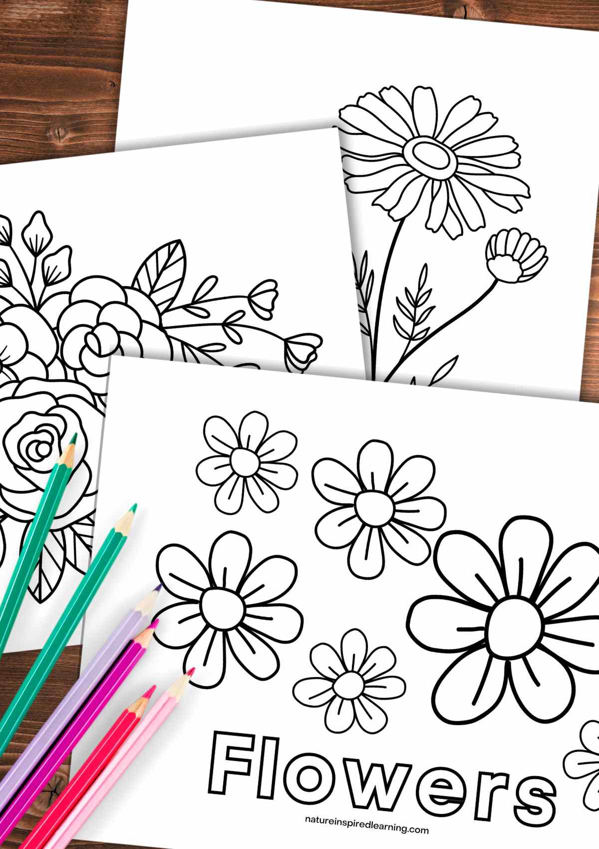 Beautiful flower coloring pages