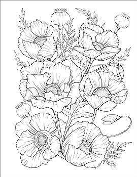 Stress relief flower coloring book for adults beautiful and relaxing floral designs arrangements and bouquets callisto publishing books