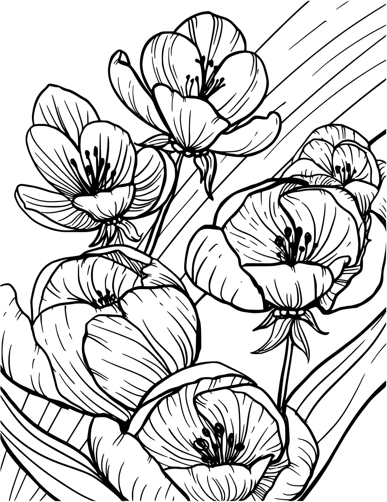 Stunning flower coloring pages for kids and adults