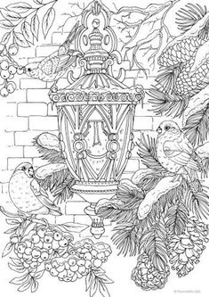 Coloring pages adult ideas coloring pages adult coloring pages colouring pages