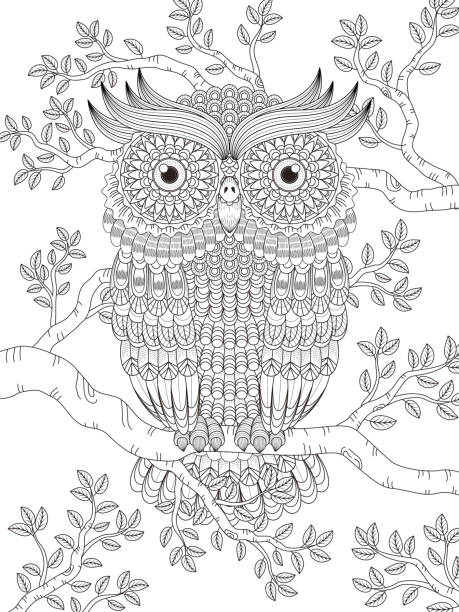 Pretty coloring pages stock illustrations royalty