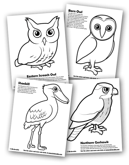 Four new coloring pages