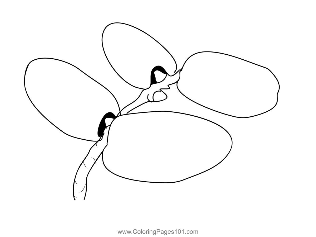 Dates coloring page coloring pages printable coloring pages printable coloring