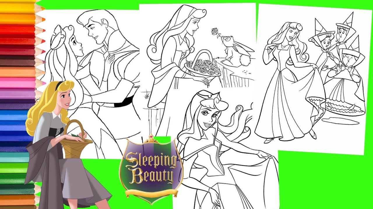 Disney princess aurora prince philip