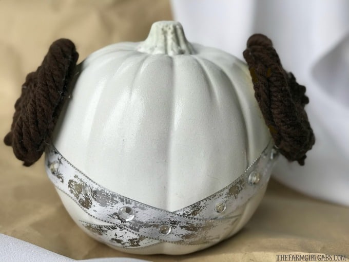 Star wars princess leia pumpkin