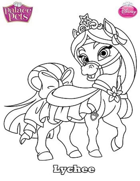 Lychee from palace pets coloring page