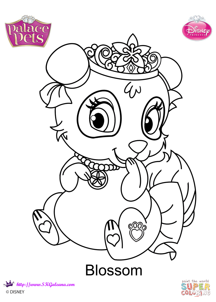 Palace pets blossom coloring page free printable coloring pages