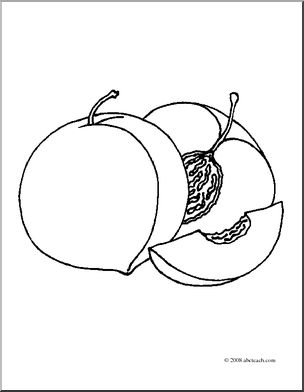 Clip art fruit realistic peaches coloring page i