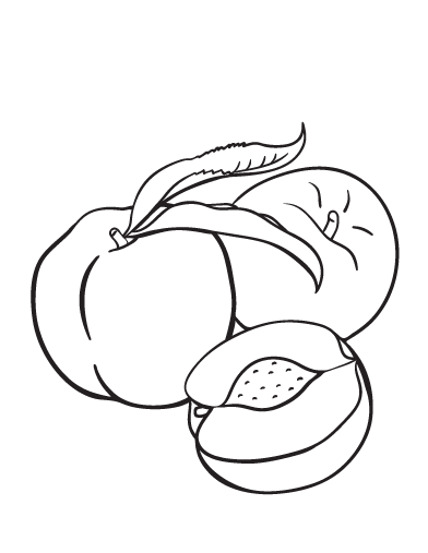 Free peach coloring page