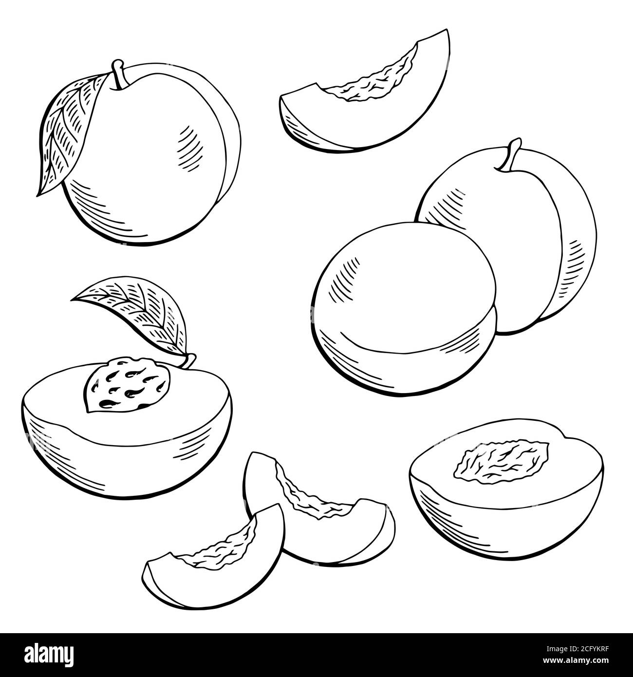 Black white cartoon illustration peach hi