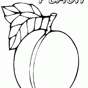 Peach coloring pages printable for free download