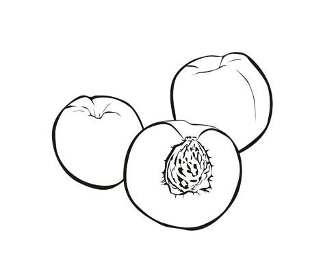 Stone fruits coloring pages team colors