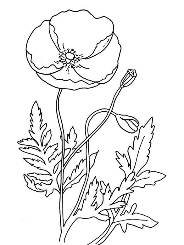 Poppy coloring pages