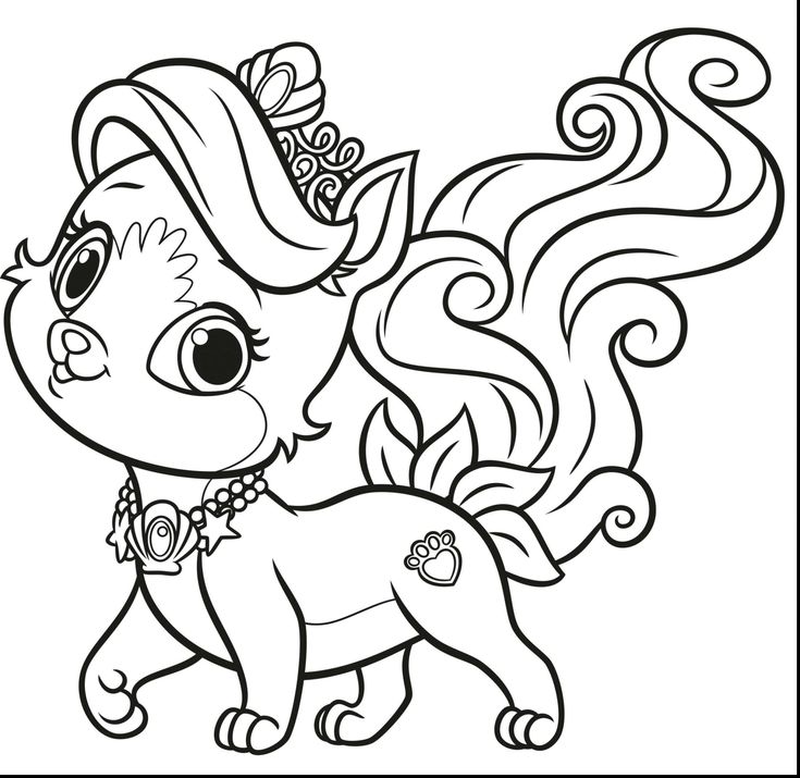 Coloring pages princess puppy â through the thousands of photographs on