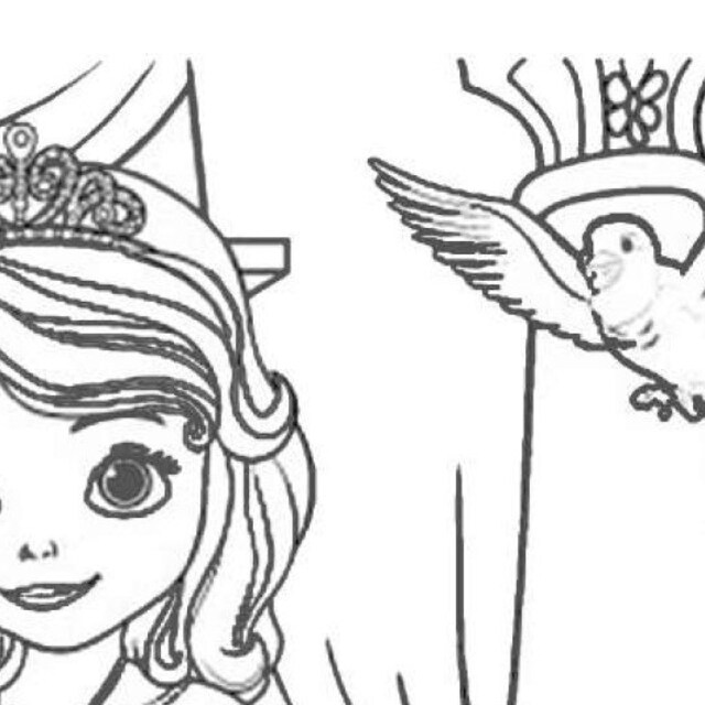 Princess sofia coloring pages instant download princess sofia party favors princess sofia birthday favor princess sofia coloring book