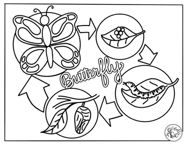 Printables international academy berrien springs mi