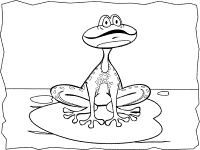 Amphibians coloring pages frogs toads and salamanders