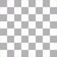 Blank chess board