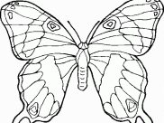 Coloring pages of animals