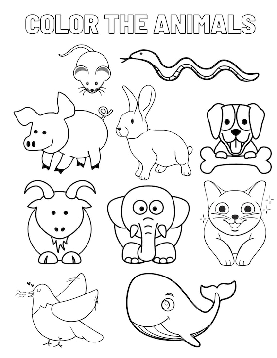 Animals coloring sheet