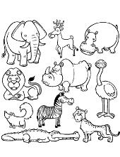 Animal monkey coloring page