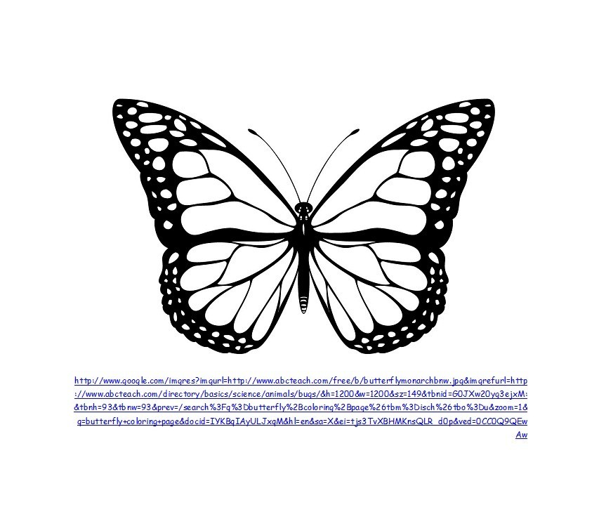 Printable cut out butterfly templates ð á