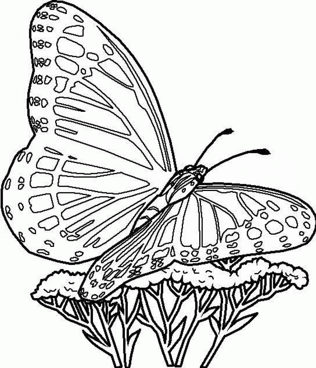 Free printable butterfly coloring pages for kids