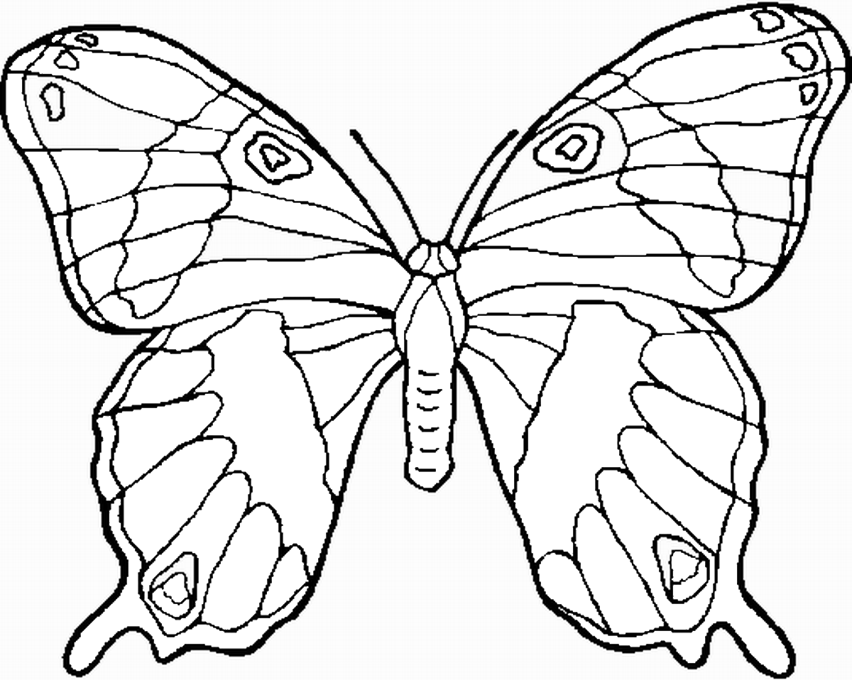 Butterfly coloring for kids