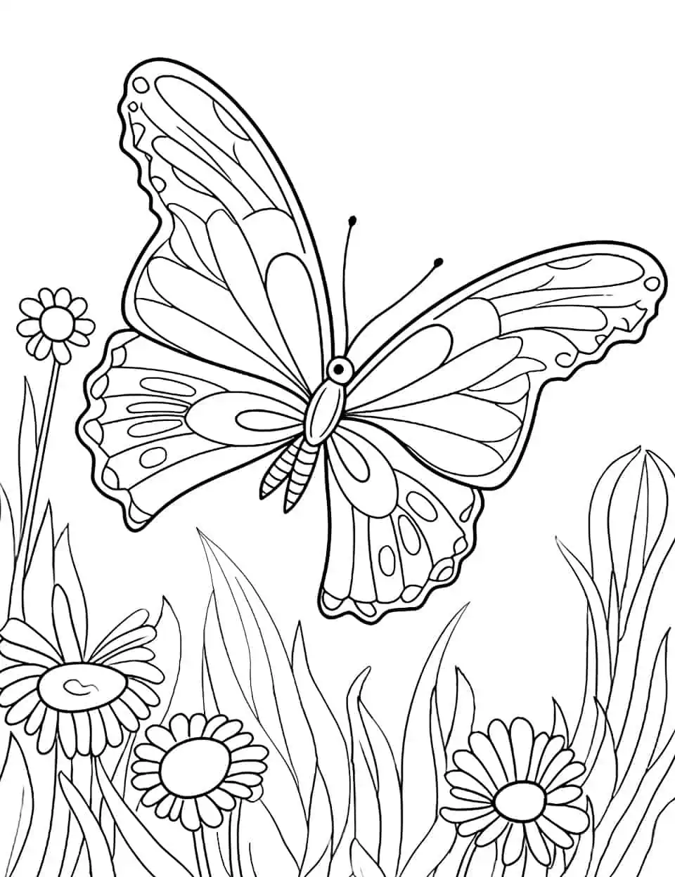 Butterfly coloring pages free printable sheets