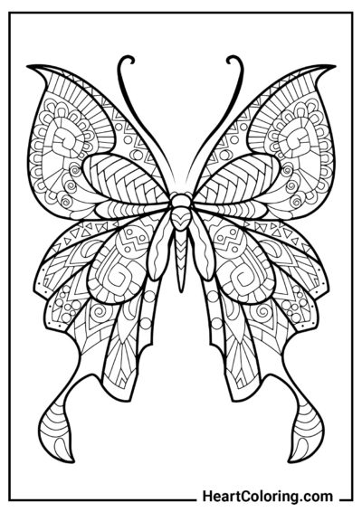 Print butterfly coloring pages on a and download in pdf