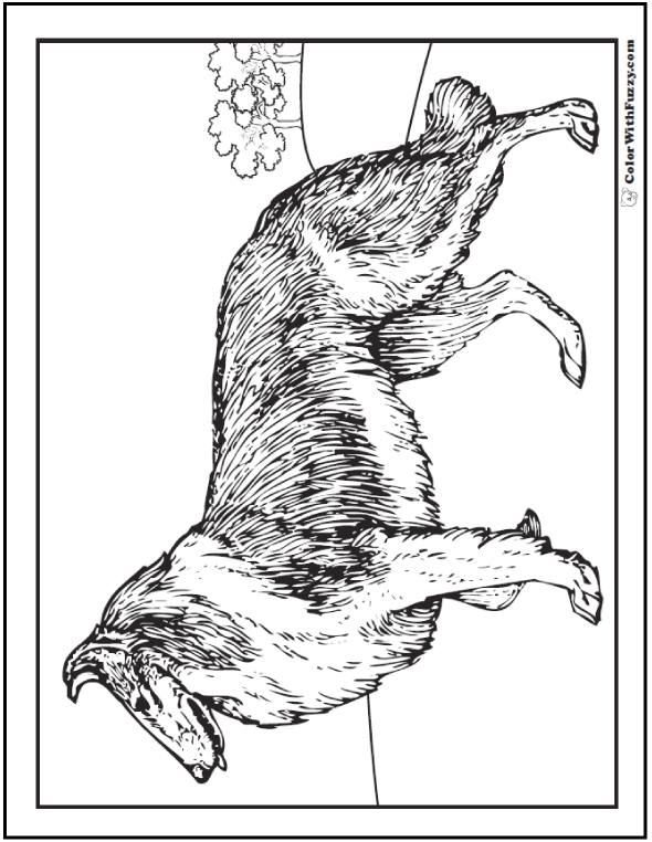 Dog coloring pages â breeds bones and dog houses