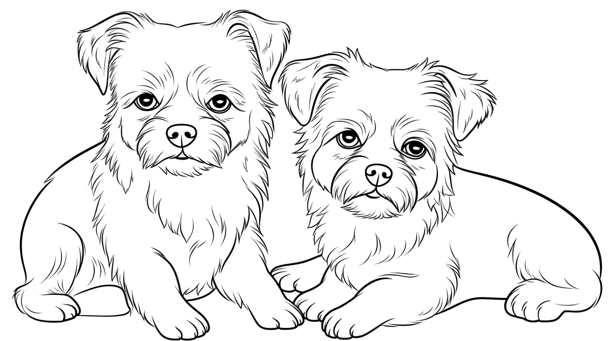 Pair of dogs coloring pages background picture of dogs to print and color dog dog powerpoint background image and wallpaper for free download