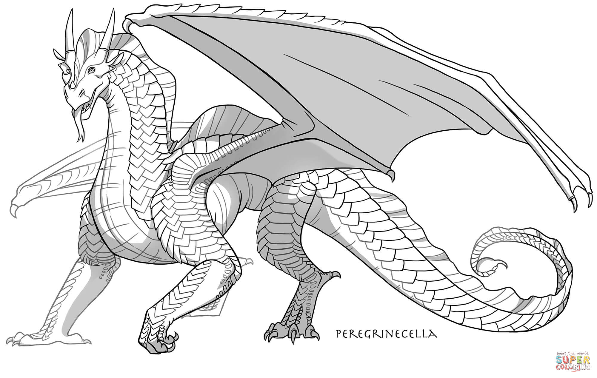 Sandwing dragon coloring page free printable coloring pages