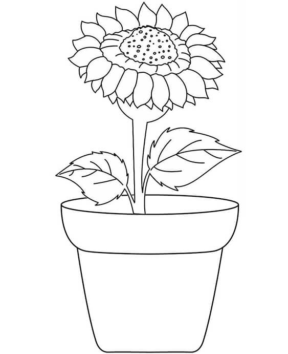 Free easy to print flower coloring pages