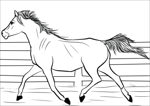 Arabian mare coloring page free printable coloring pages