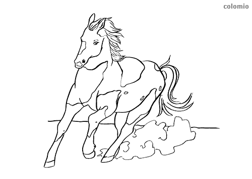 Horses coloring pages free printable horse coloring sheets