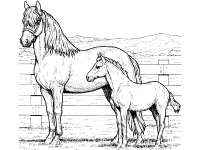 Horses coloring pages and printable activities