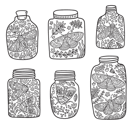 Hand drawn glass jar with moth butterfly and herbs vector contour illustration ideal for coloring print