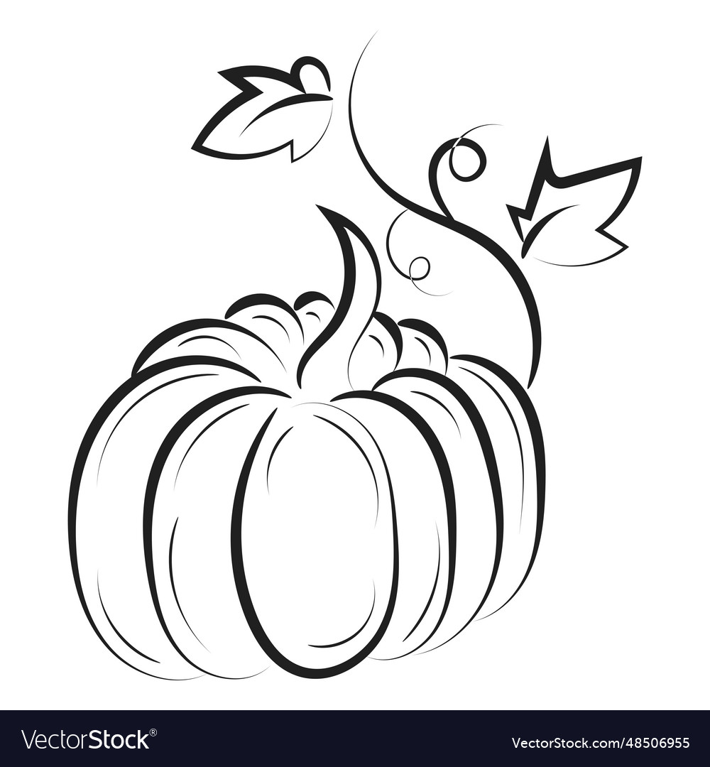 Printable pumpkin coloring pages for kids vector image