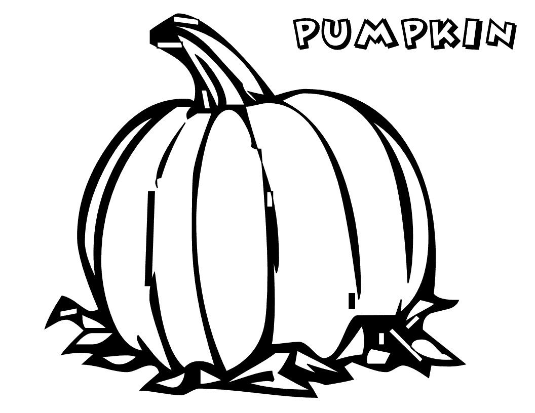 Free printable pumpkin coloring pages for kids pumpkin coloring pages halloween coloring pages pumpkin coloring sheet