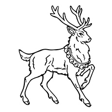 Top free printable reindeer coloring pages online