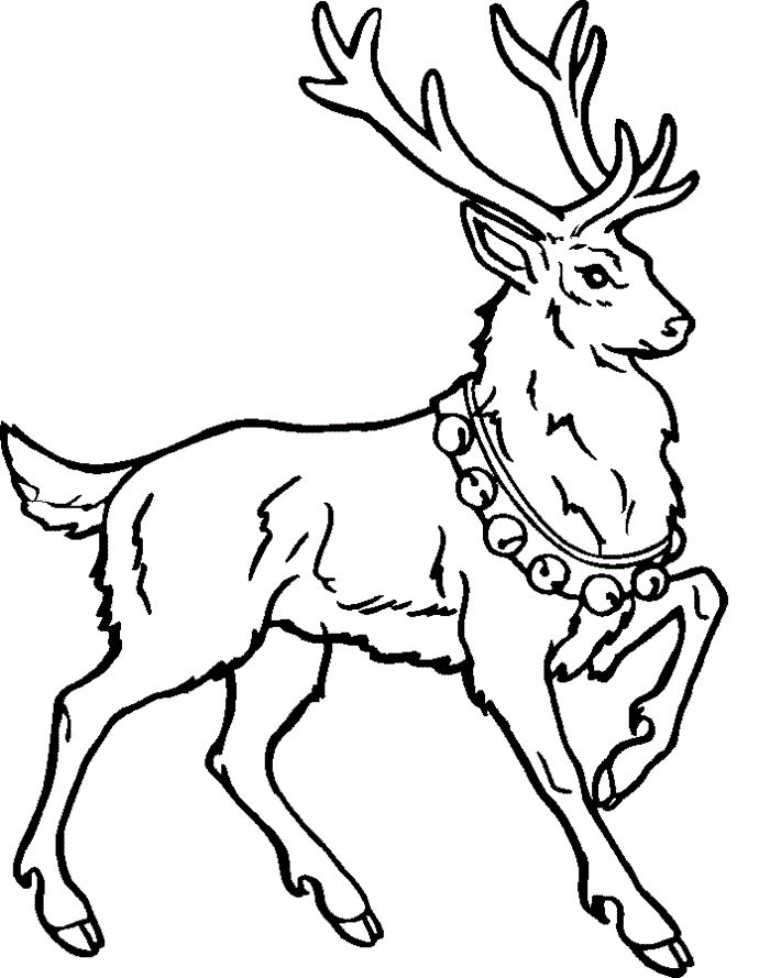 Free printable reindeer coloring pages for kids deer coloring pages animal coloring pages reindeer drawing