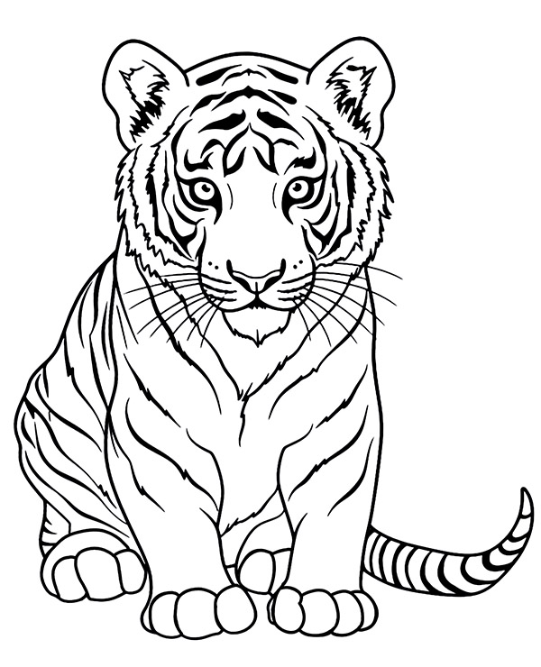 Printable coloring page of a young tiger