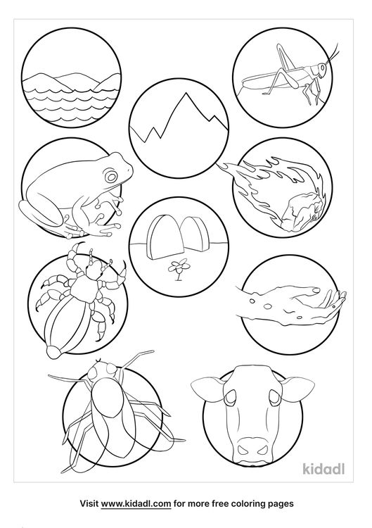 Plagues of egypt coloring pages free torah coloring pages kidadl plagues of egypt plagues bible crafts