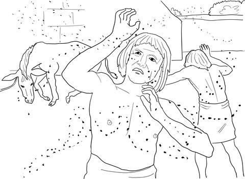 Plague of lice or gnats coloring page free printable coloring pages